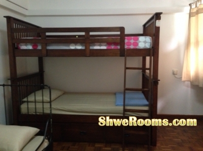 <___ Moving out Metal Bed frames with cheap price_____>