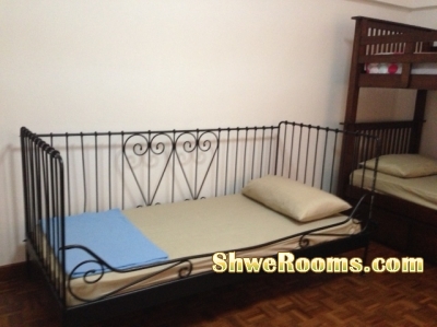 <___ Moving out Metal Bed frames with cheap price_____>