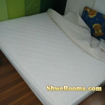 magic coils queen size mattress ($280)