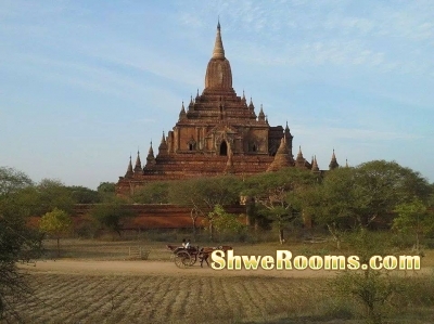 Car-Rental Service in Yangon (Sightseeing Tours) All Destinations