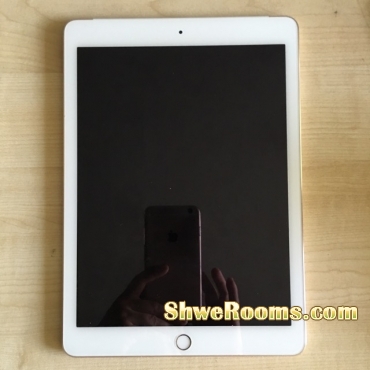 iPad Air 2 128 G cellular