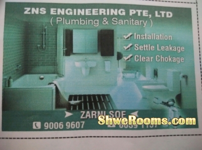 Plumbing & Sanitary ( Piping) 