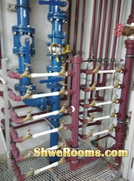 Plumbing & Sanitary ( Piping)