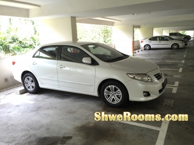 Private car rental service in Singapore