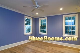 House Painting Services