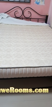 Queen size Bed frame and mattress