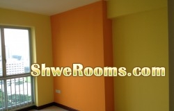 Providing Interior and Exterior Painting Service