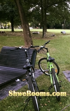 2 Bicycles(Black & Green)  for sale