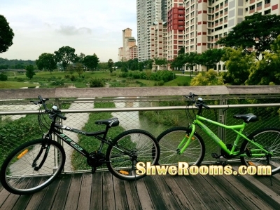 2 Bicycles(Black & Green)  for sale