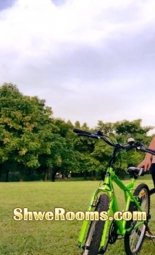 2 Bicycles(Black & Green)  for sale