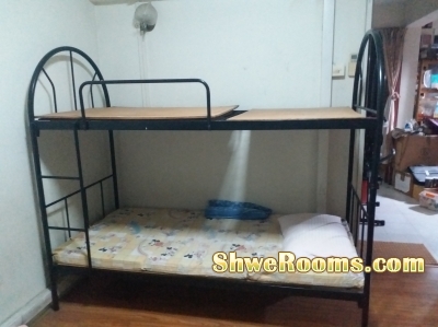 double deck steel bed, single foldable bed