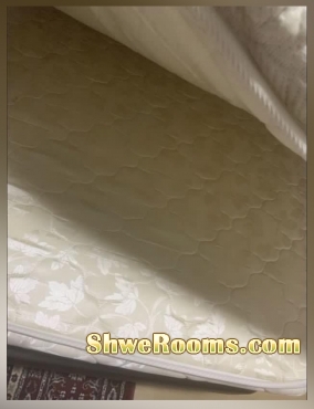 **Queen Size Mattress and Bedframe