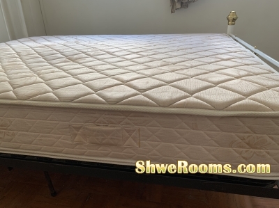 Queen Size Mattress and Bedframe