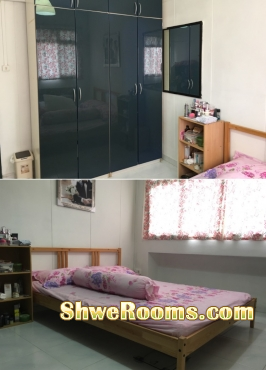 COMMON ROOM $700@ 8mins walk to Macpherson MRT