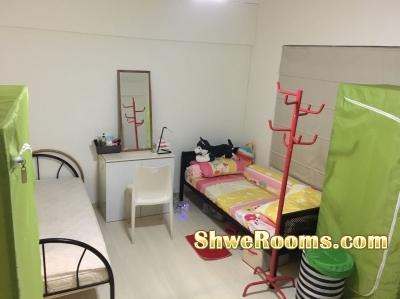 FEMALE MASTER ROOM NEAR Marymount, Caldecott and Braddell MRT (Circle Line/Orange Line)