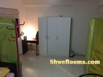 FEMALE MASTER ROOM NEAR Marymount, Caldecott and Braddell MRT (Circle Line/Orange Line)