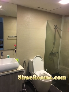 FEMALE MASTER ROOM NEAR Marymount, Caldecott and Braddell MRT (Circle Line/Orange Line)