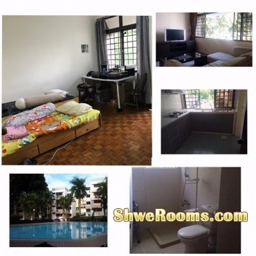 1 male to share master room (2 persons per room)  at Cashew Park Condo $450