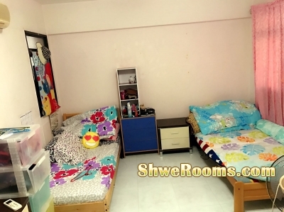 HDB Unit/Room for Rent at Sengkang