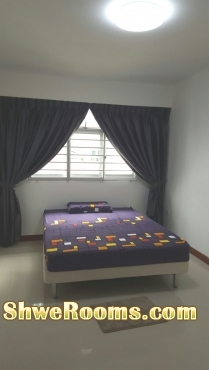 Brand New Common room to rent near Sengkang