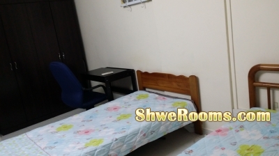 $350/person room available near Pasir Ris MRT