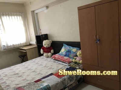 *Common Room for Rent S$780/800*