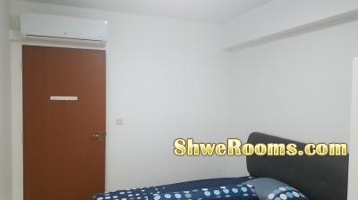 Brand New Common room to rent near Sengkang