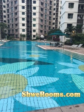 Common Room for Single/Couple @ Simei Green Condominium