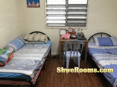 Need One Man Roommate @ Queens Town 