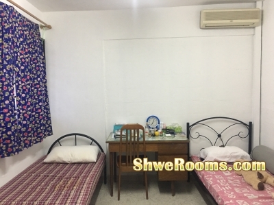 looking for a female roommate near kovan MRT station 