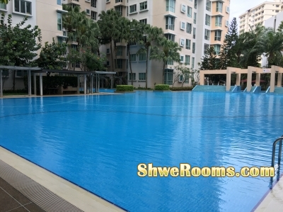 Available common room for rent @ Whitewater Condo Pasir Ris