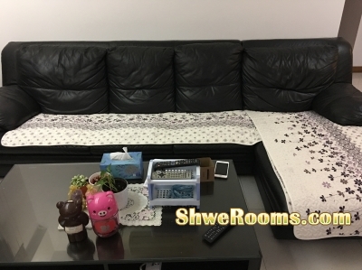 Available common room for rent @ Whitewater Condo Pasir Ris