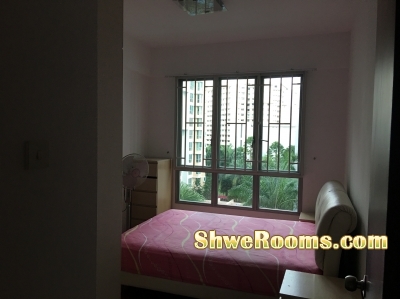 Available common room for rent @ Whitewater Condo Pasir Ris