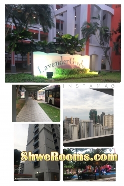 Share Common Bedroom @ Lavender MRT