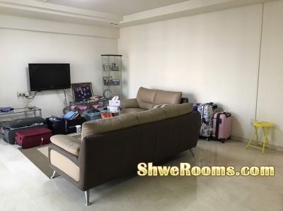 Rent the whole flat @ near Sengkang MRT