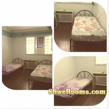 *** A Lady Roommate, Available Common Room @ Bedok North Ave 3