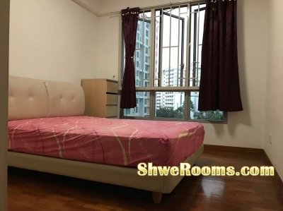 Available common room for rent @ Whitewater Condo Pasir Ris