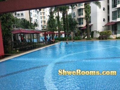 Available common room for rent @ Whitewater Condo Pasir R