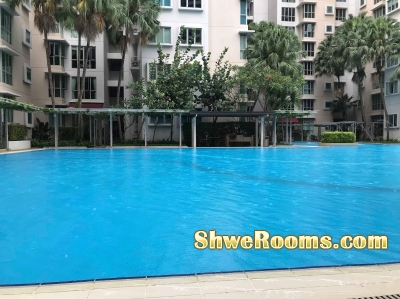 Available common room for rent @ Whitewater Condo Pasir Ris