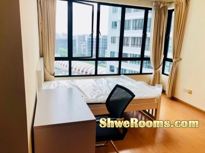 One Female Roommate to share Condo Room ( Aljunied )