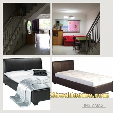 Master bed room rent @ Bishan MRT