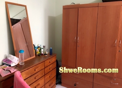 One Lady Roommate to share Common Room available 