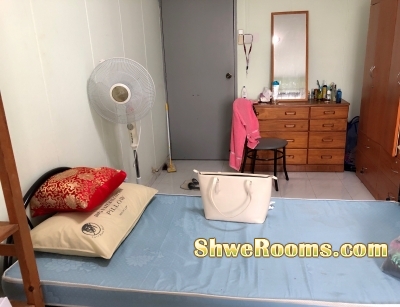 One Lady Roommate to share Common Room available