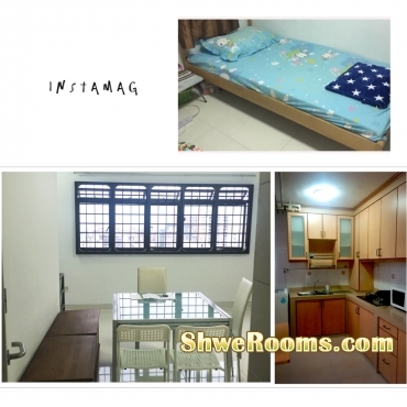 ðŸŒ¿ðŸŒ¿ 1 Lady Share Common Bedroom Lavender MRT ðŸŒ¿ðŸŒ¿