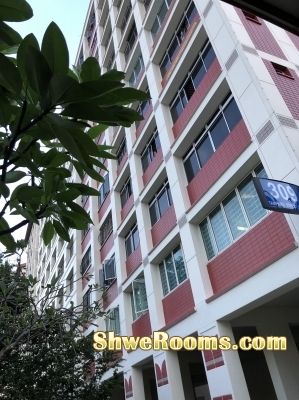 Female Share Common room at Tampines