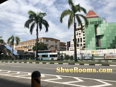 Female Share Common room at Tampines