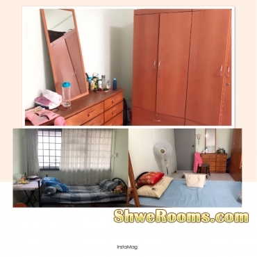 One Lady Roommate to share Common Room available 