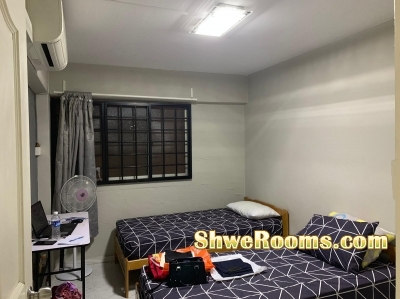 One lady roommate needed at bedok