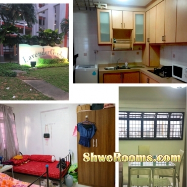 ðŸŒ¿ðŸŒ¿1 Lady Share Common Bedroom Lavender MRT ðŸŒ¿ðŸŒ¿