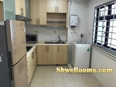 Common Room to rent at near Tanah Merah or Besok